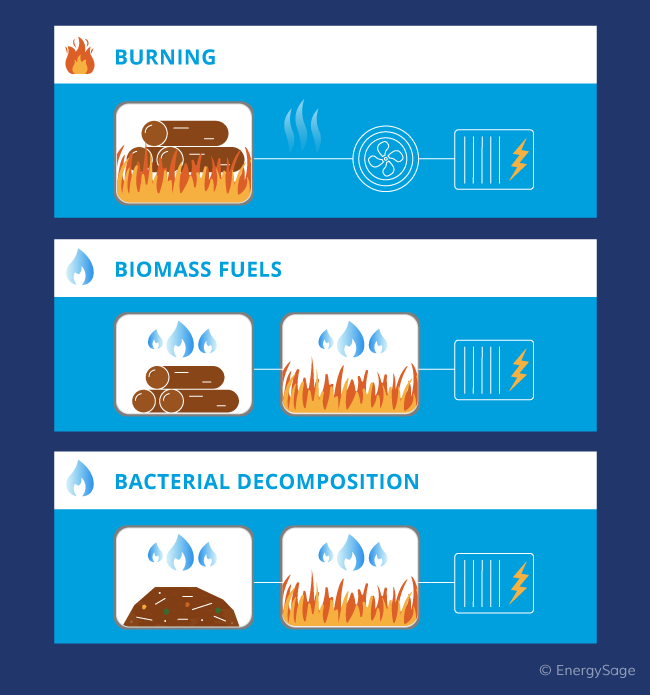 how biomass works