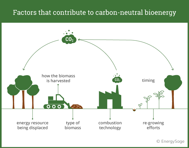 factors in how carbon neutral bioenergy is